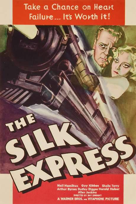 The Silk Express